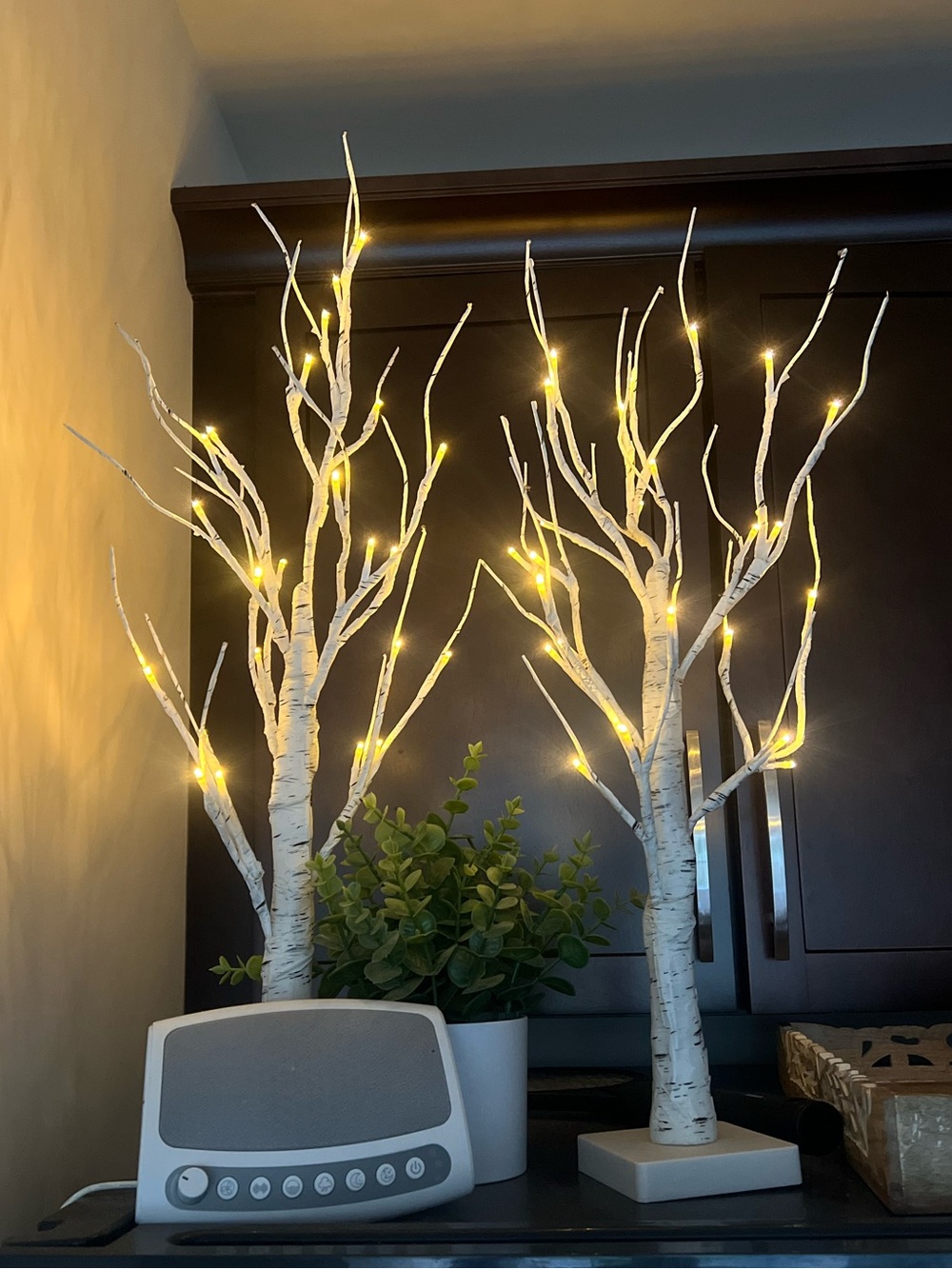 Tabletop birch trees with LED fairy lights